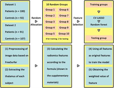 Thalamus Radiomics-Based Disease Identification and Prediction of Early Treatment Response for Schizophrenia